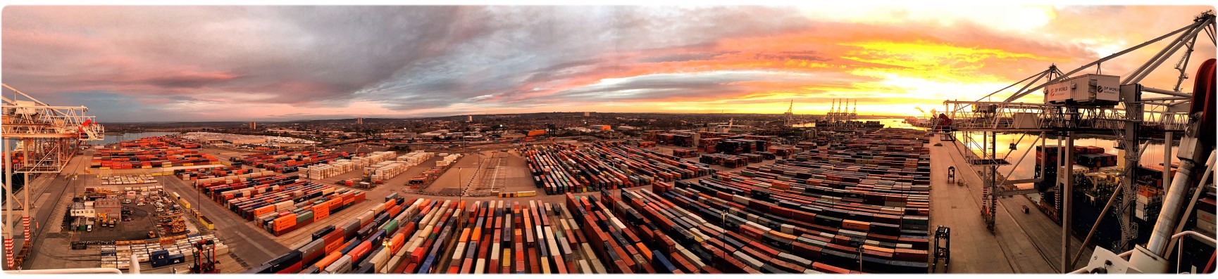 International Auto Shipping Quotes