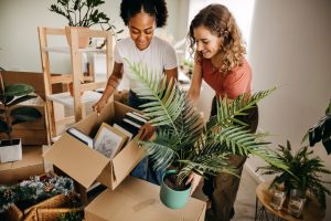 International moving services to Mexico