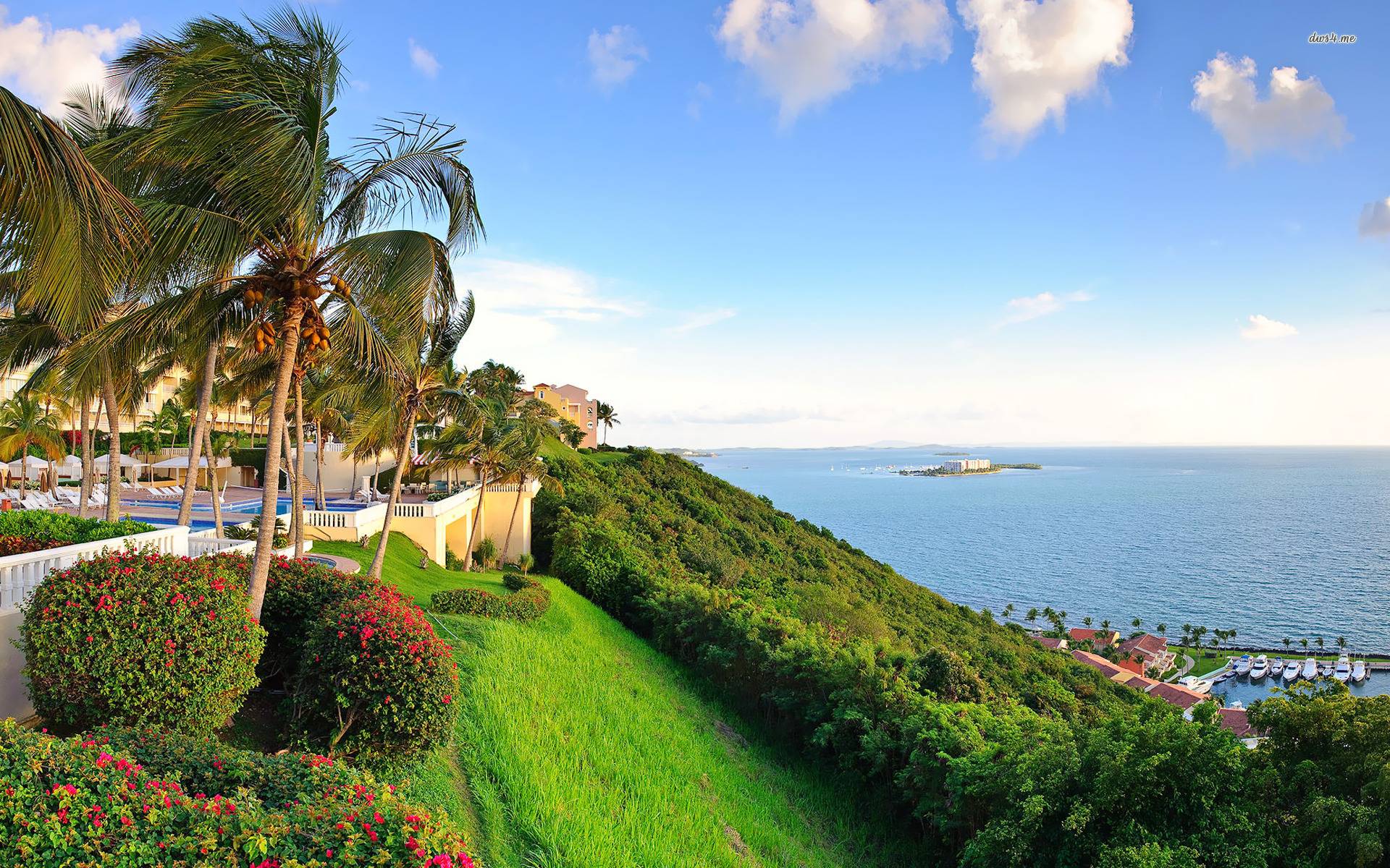 moving to puerto rico in 2023