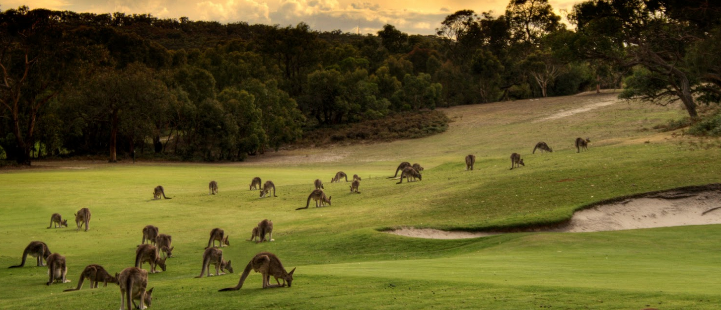 beautiful australia