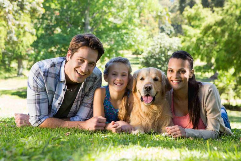 moving overseas with pets